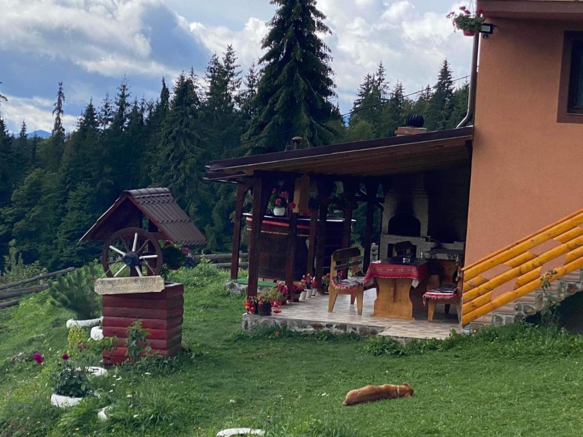 Cabana Georgiana Maria Ghetari Zewnętrze zdjęcie
