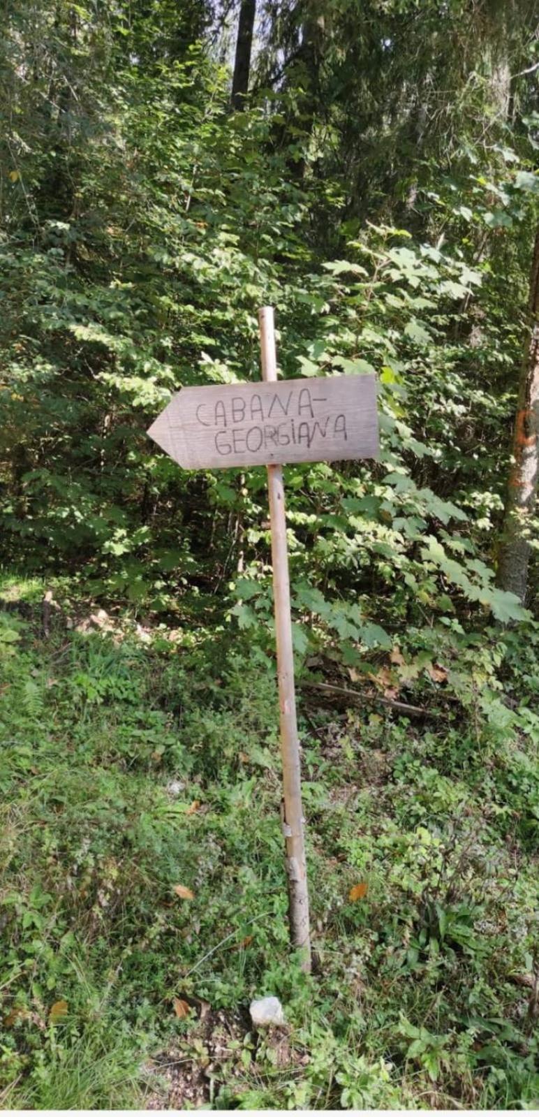 Cabana Georgiana Maria Ghetari Zewnętrze zdjęcie
