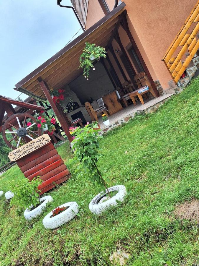 Cabana Georgiana Maria Ghetari Zewnętrze zdjęcie
